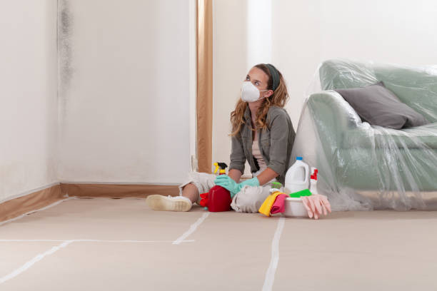 Reliable Mold Remediation contractor in Saint Paul, MN by WQB Mold Removal
